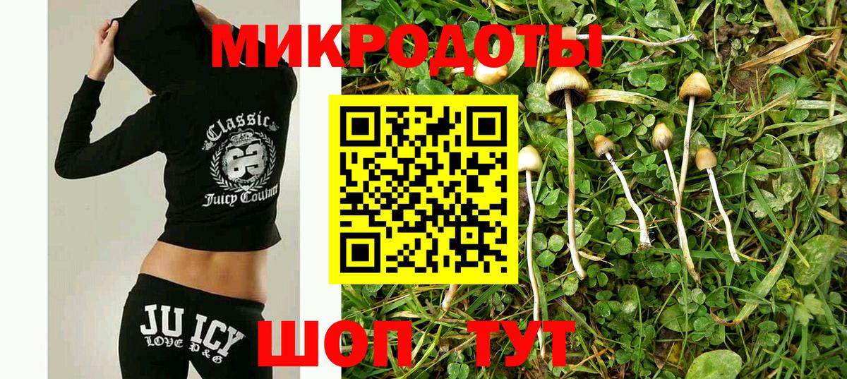 Санкт-Петербург  Псилоцибиновые грибы мицелий  Псилоцибиновые грибы прущие грибы  Вход с VPN 